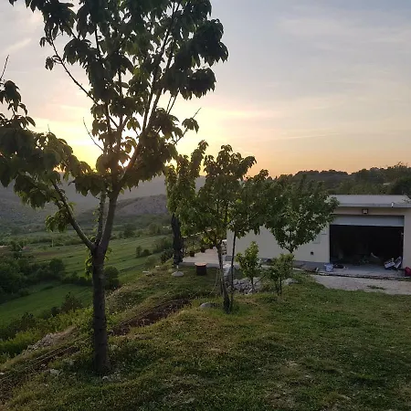 Nyaraló Sinobor *